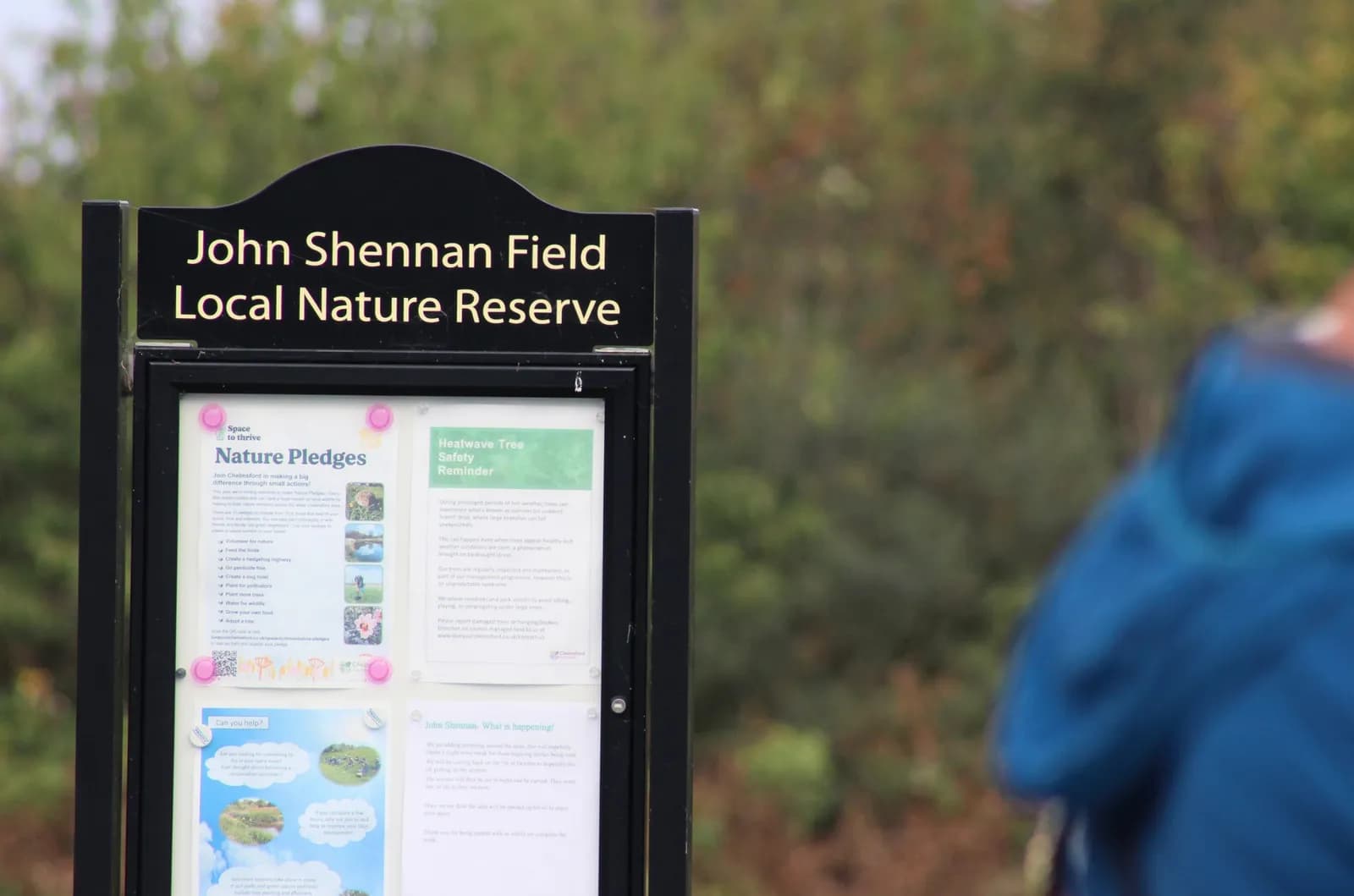 John Shennan Field Local Nature Reserve is one of the two new sites in Chelmsford to achieve Green Flag Award status.